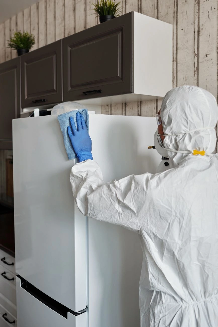 affordable options for cleaning services